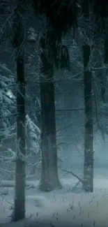 Snow-covered forest scene with tall trees and a serene ambiance.