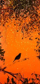 Bird silhouette with golden lights on orange background.