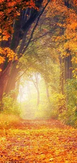 Vibrant autumn forest path with rich orange leaves and a sunlit trail.