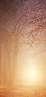 Misty forest path with autumn leaves and soft sunlight.