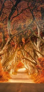 Autumn forest path with vibrant orange leaves and twisted trees.