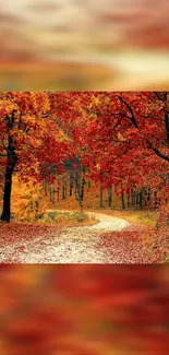 Mobile wallpaper of a path through autumn forest with red and orange leaves.