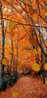 Autumn forest path with vibrant orange leaves.