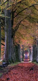 Enchanting pathway through an autumn forest with vibrant leaves.