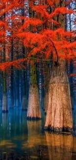 Autumn forest with red-orange trees reflected in calm water.