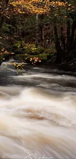 Serene autumn river flowing through a lush forest.