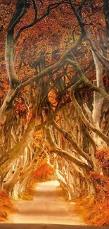 Enchanting autumn tunnel with orange trees.