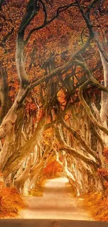 Enchanting autumn tree tunnel with vibrant foliage creating a magical forest path.