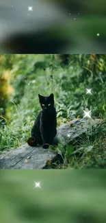 Black cat on foliage in a lush green forest with sparkling lights.