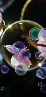 Pink cherry blossoms inside glowing bubbles on a dark background.