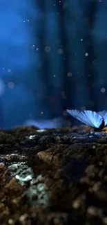 Blue butterflies in a mystical forest scene.