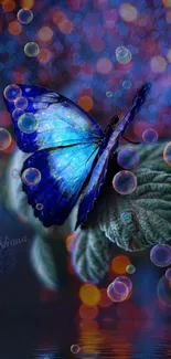 Blue butterfly perched on leaf with bokeh background.