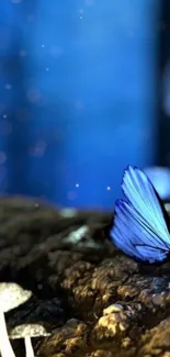 A mystical scene with a blue butterfly and glowing fungi on a forest floor.