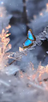 Blue butterfly on icy branches in serene winter scene.