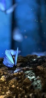 Blue butterflies resting on a mossy rock in a dreamy, bokeh-lit forest scene.