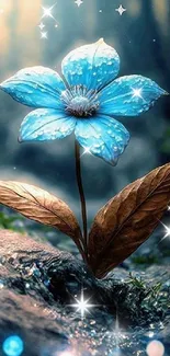 Enchanting blue flower with dewdrops in a serene forest setting.