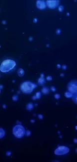 Glowing blue jellyfish in deep ocean mobile wallpaper.