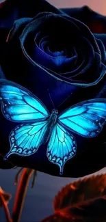 Blue rose with a luminous butterfly resting on it.