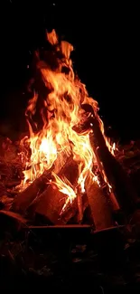 Enchanting bonfire glowing at night with burning logs.