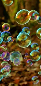 Colorful bubbles floating in an autumn forest.