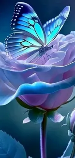 Blue butterfly resting on a luminous rose with glowing petals.