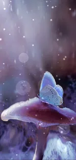 Purple mushroom with butterfly in dreamy ethereal scene.