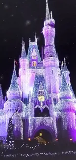 Purple castle illuminated with lights at night.