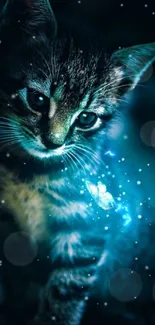 Enchanting kitten with glowing blue light in dark background.