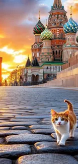 Cat walking on cobblestones in Moscow at sunset.