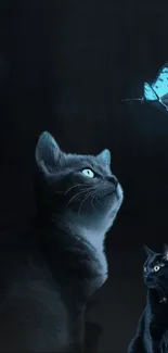 Cats gazing at glowing blue butterflies in a dark, mystical scene.