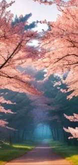 Cherry blossom pathway with vibrant pink petals.