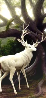 Majestic white stag in a mystical forest wallpaper.