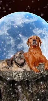 Two dogs rest under a full moon with stars on a mystical background.