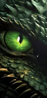 Close-up of a dragon's mystical green eye with textured scales.