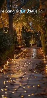 A beautifully lit garden path in the evening glow.