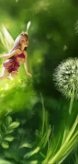 Fairy flying over green foliage and dandelions.