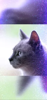 Mystical cat in a cosmic purple galaxy-themed wallpaper.