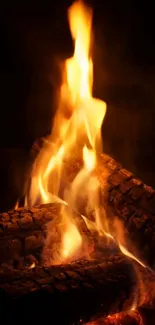 Captivating image of bright orange flames against dark background.