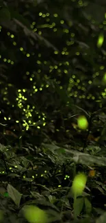 A forest path lit by glowing fireflies.