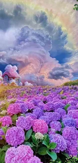 Whimsical landscape with purple flowers and a dramatic, colorful sky.