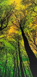 Forest canopy with green and yellow hues creating a vibrant and serene mobile wallpaper.