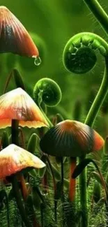 Lush green forest wallpaper with mushrooms.