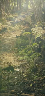 Serene forest path with sunlit greenery and moss-covered stones.