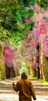 Man walks down a serene, tree-lined forest path.