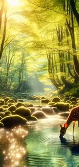 A deer drinks from a stream in a sunlit forest.