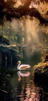 White swan gliding through forest pond with dappled sunlight.