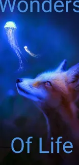 Fox mesmerized by glowing jellyfish under a vivid blue night sky.