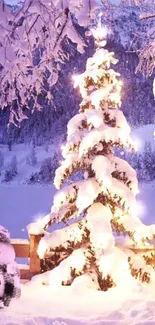 Snowy Christmas tree with a snowman on a frosty winter night.