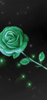 Green rose on starry black background with luminous effect.