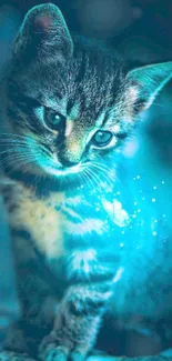 Charming kitten in blue glowing light, creating a serene and magical atmosphere.